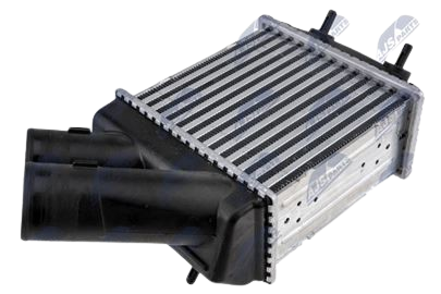 Intercooler, chladič plniaceho vzduchu RENAULT MEGANE I (95-) 1.9 DCI, SCENIC I (96-) 1.9 DCI