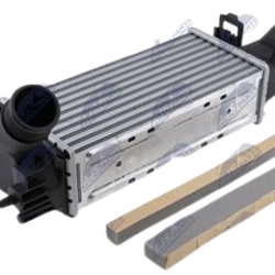 Intercooler, chladič plniaceho vzduchu FORD FIESTA VI (12-) 1.0 (AUT, PETROL)